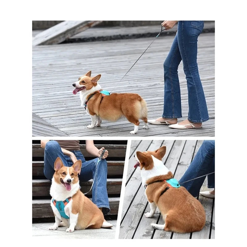 Arnés para Perros con Correa Retráctil – Transpirable y Ajustable, Ideal para Perros Pequeños, Tamaños XS y S 3