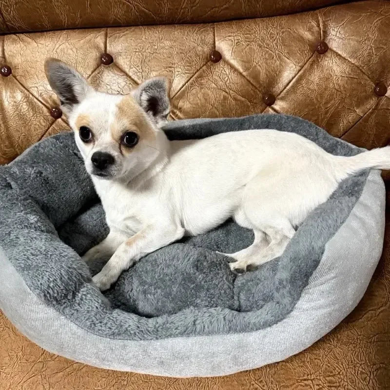 Cama para Perros Grandes y Medianos de Algodón, Suave y Cómoda, Ideal como Sofá para Gatos 4
