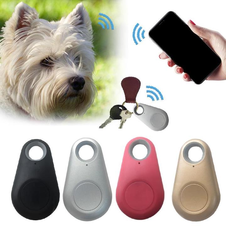Mini Localizador GPS para Perros - Compacto e Impermeable con Batería de Larga Duración y Seguimiento en Tiempo Real 2