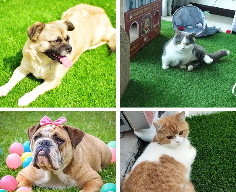 Tapete de Césped Artificial para Perros – Higiénico y Sin Olores para Interiores y Exteriores, 35 cm x 35 cm a 80 cm x 100 cm 1