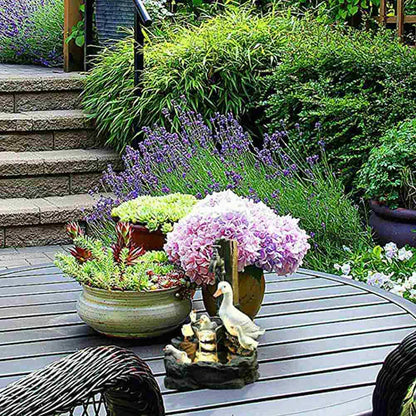 Fuente Pato Decoración Relajante Exterior