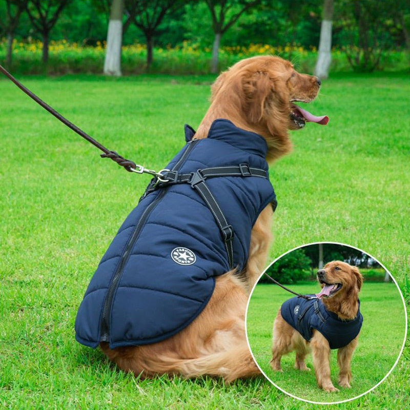 Abrigo Impermeable para Perros con Aislamiento – Chaqueta Cálida y Cómoda para Invierno, Varios Tamaños 1