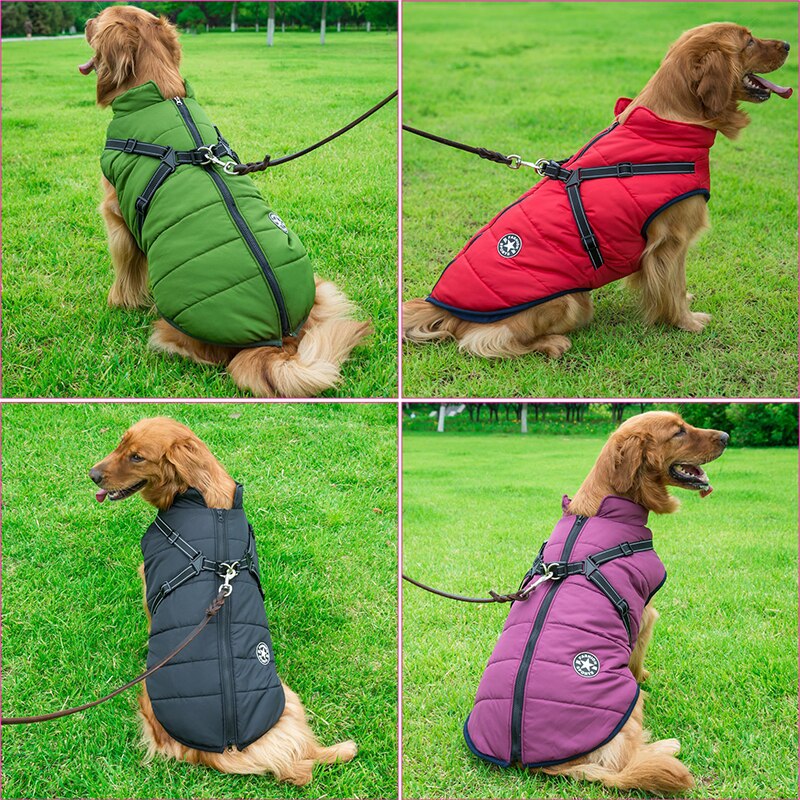 Abrigo Impermeable para Perros con Aislamiento – Chaqueta Cálida y Cómoda para Invierno, Varios Tamaños 3