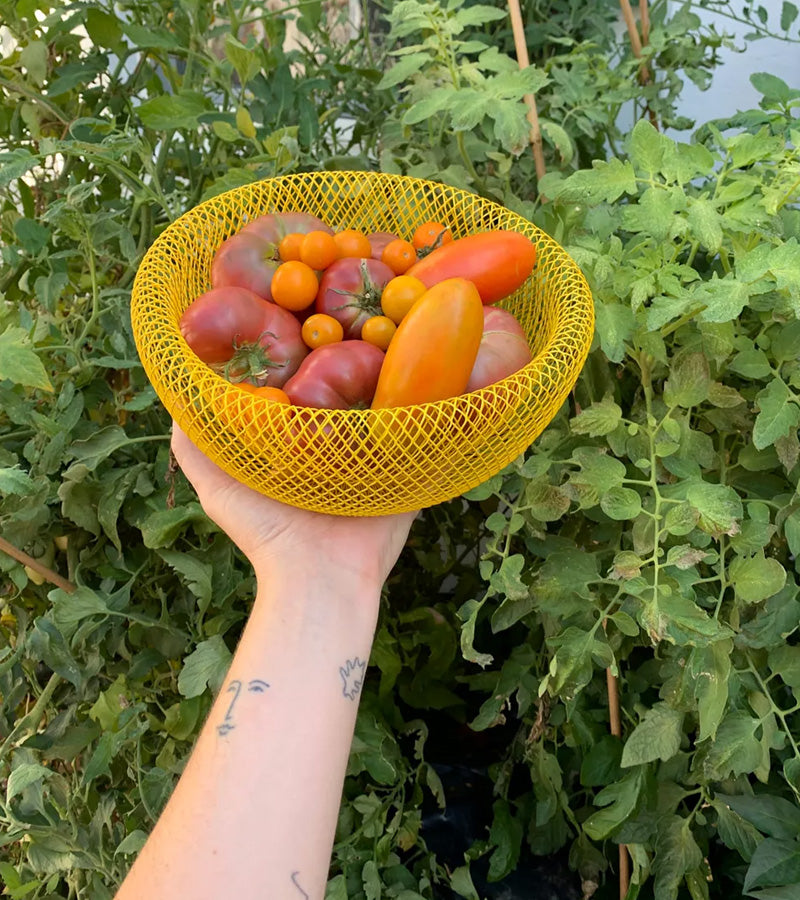 Cesta de Frutas de Acero de Doble Pared con Diseño de Malla – Ventilación Óptima y Estilo Moderno 2