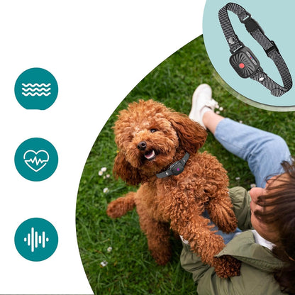 Collar Antiladridos Ajustable para Perros - Tecnología Humana, Comodidad y Material Duradero, Ideal para Entrenamientos y Paseos 2