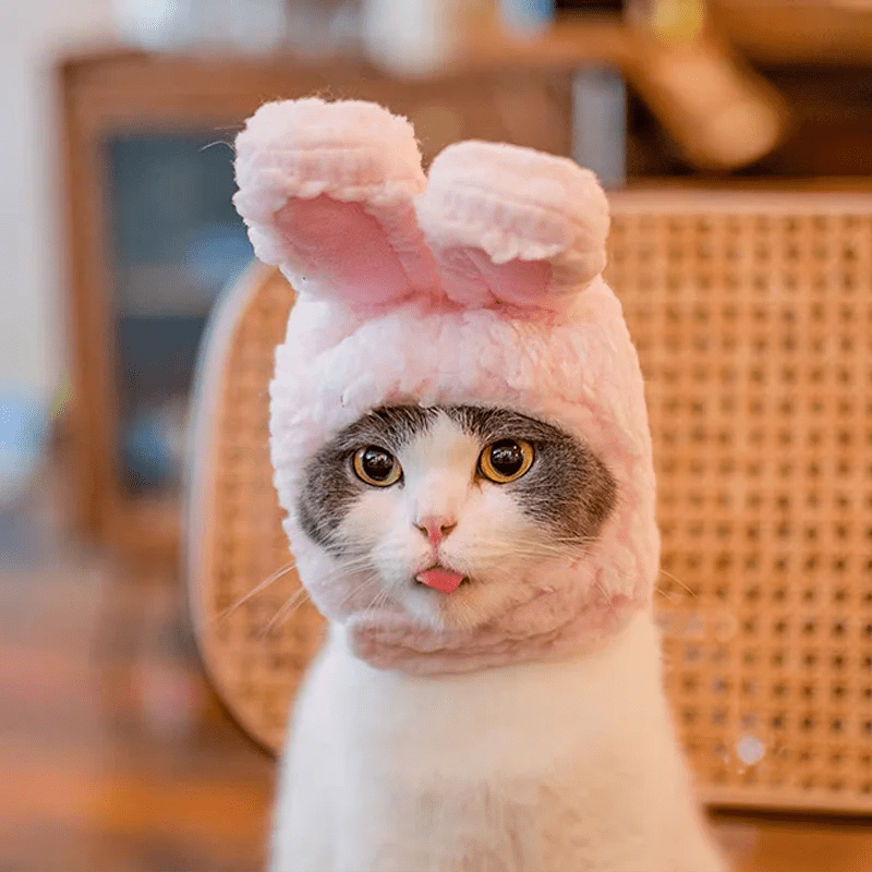 Gorro de Invierno para Mascotas con Diseño de Oso y Conejo – Accesorio Cálido para Perros y Gatos, Forro Polar, Tamaño 30-35 cm 2