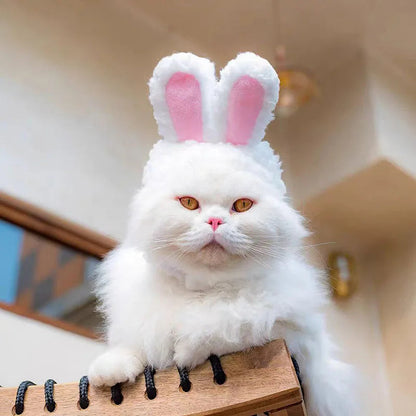 Gorro de Invierno para Mascotas con Diseño de Oso y Conejo – Accesorio Cálido para Perros y Gatos, Forro Polar, Tamaño 30-35 cm 3