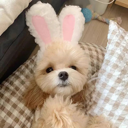 Gorro de Invierno para Mascotas con Diseño de Oso y Conejo – Accesorio Cálido para Perros y Gatos, Forro Polar, Tamaño 30-35 cm 5