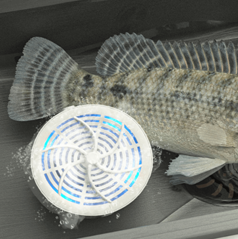 Limpiador de Alimentos Inalámbrico con Tecnología Iónica – Eficaz contra Pesticidas y Bacterias 5