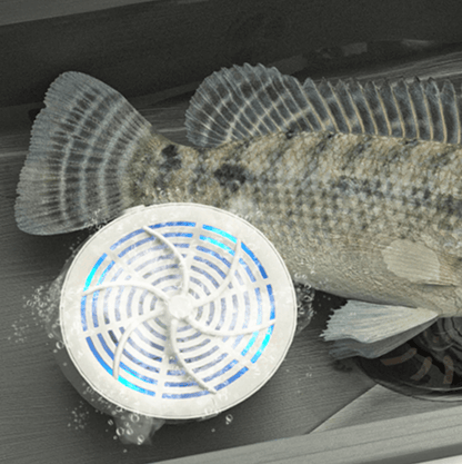 Limpiador de Alimentos Inalámbrico con Tecnología Iónica – Eficaz contra Pesticidas y Bacterias 5