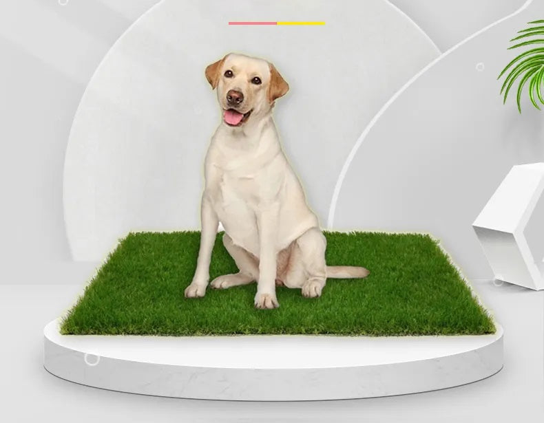 Tapete de Césped Artificial para Perros – Higiénico y Sin Olores para Interiores y Exteriores, 35 cm x 35 cm a 80 cm x 100 cm 0