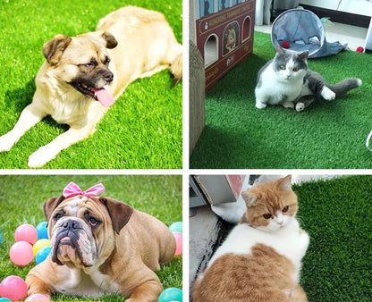 Tapete de Césped Artificial para Perros – Higiénico y Sin Olores para Interiores y Exteriores, 35 cm x 35 cm a 80 cm x 100 cm 1